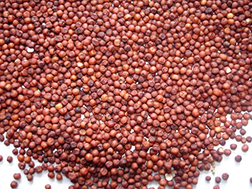 Finger millet